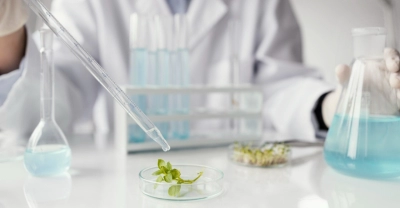Diplomatura en Biotecnología Industrial + IA