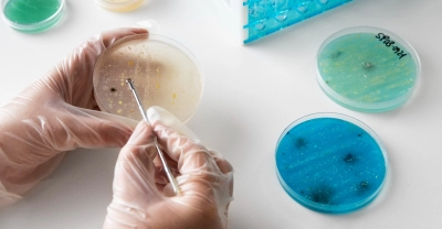 Técnico Auxiliar en Laboratorio de Anatomía Patológica ...