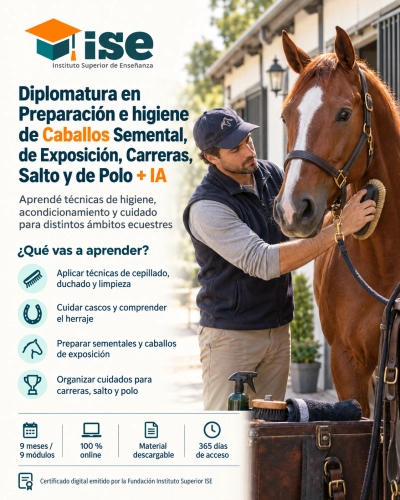 Diplomatura en Preparación e higiene de Caballos Semental, de Exposición, Carreras, Salto y de Polo + IA (Premium con Doble Certificación)
