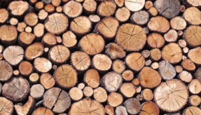 Capacitación en Construcciones de Madera