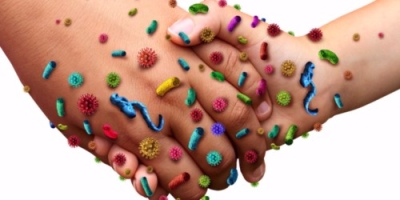Diplomatura en Microbiología, Bacteriología y Enfermedad...